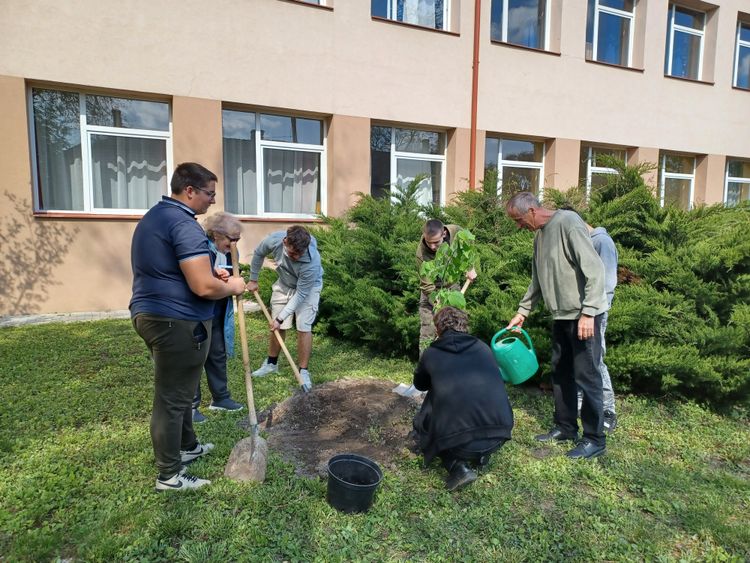 Végzőseink faültetése